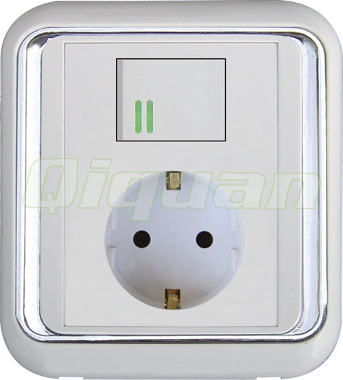 Euro Socket With 1 Switch